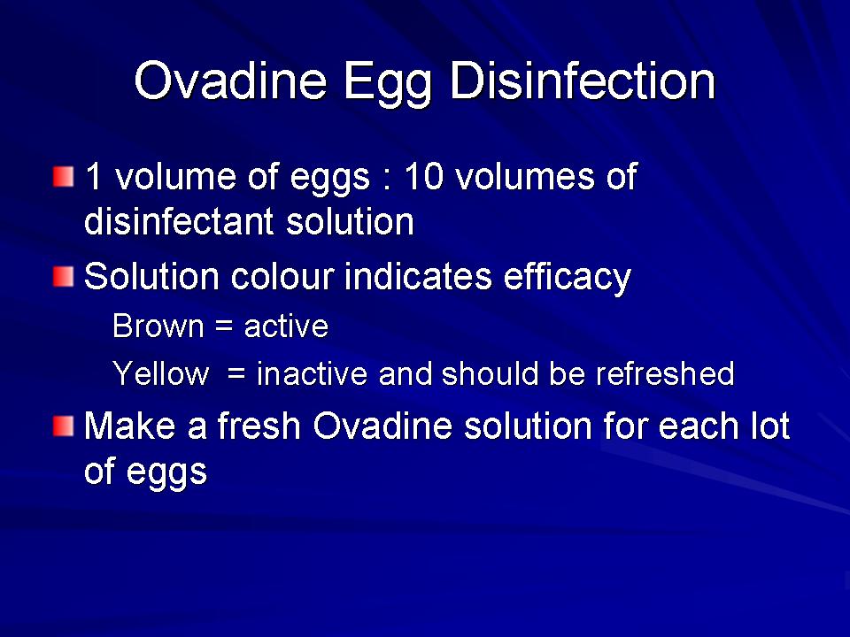 Fish Health Presentation slide