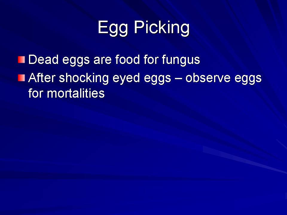 Fish Health Presentation slide