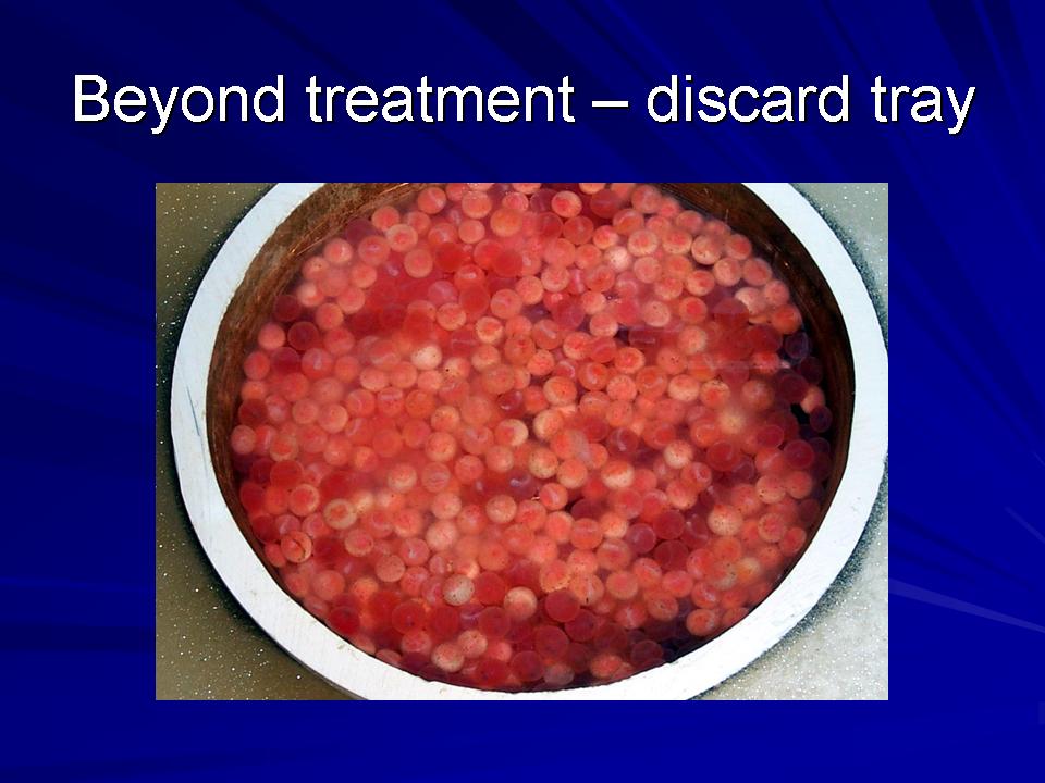Fish Health Presentation slide