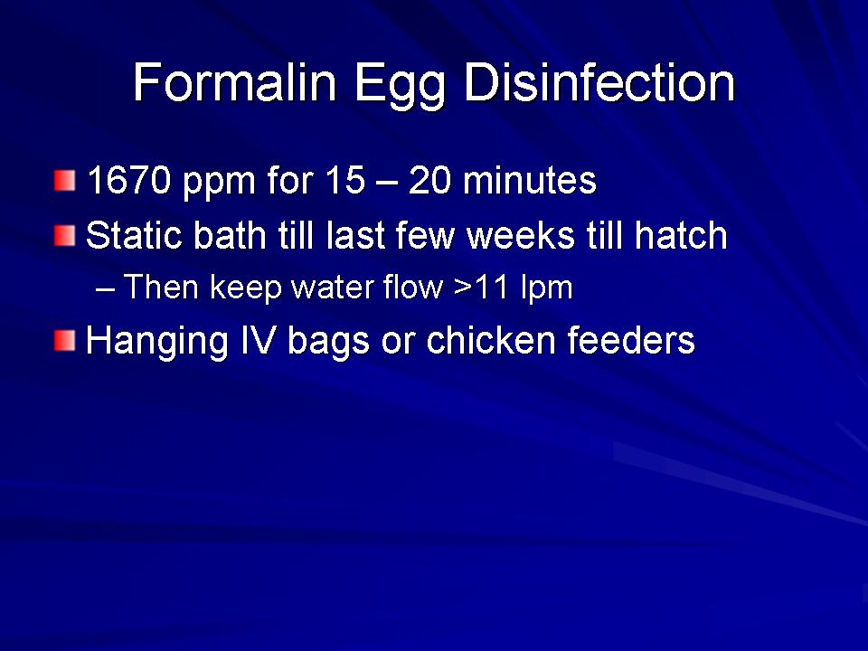 Fish Health Presentation slide