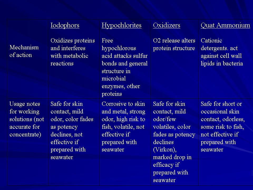 Fish Health Presentation slide