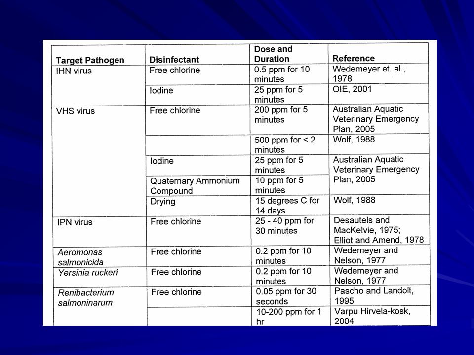 Fish Health Presentation slide