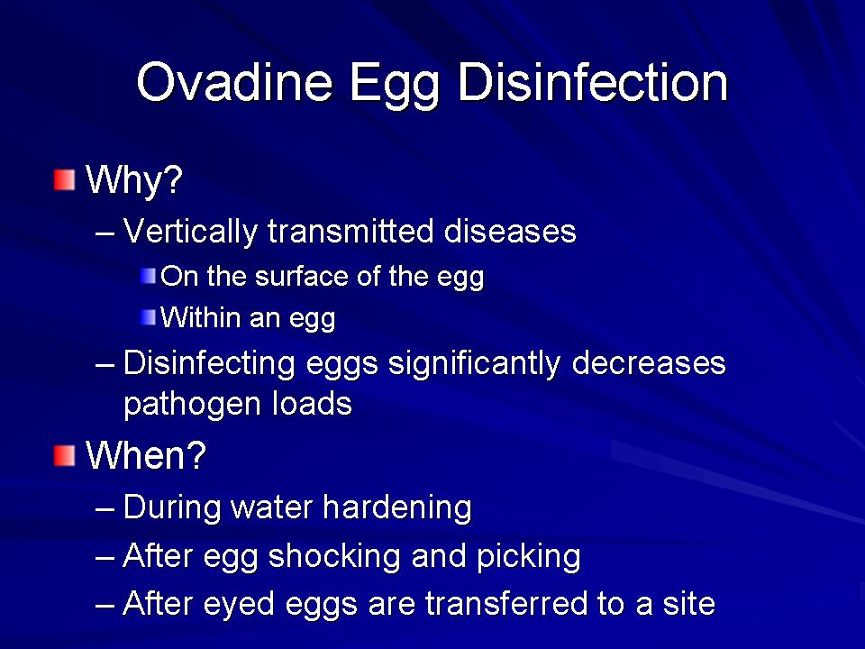 Fish Health Presentation slide