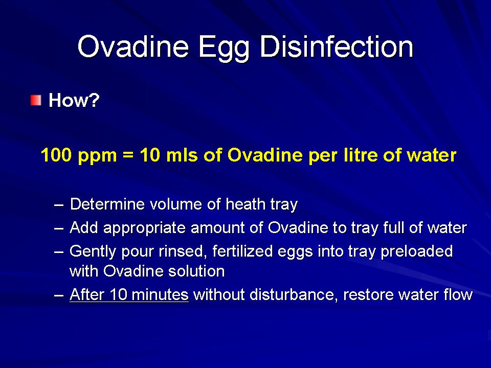 Fish Health Presentation slide