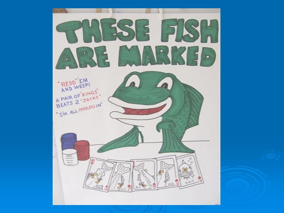 These Fish Are Marked! Presentation slide