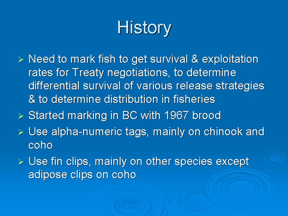 These Fish Are Marked! Presentation slide