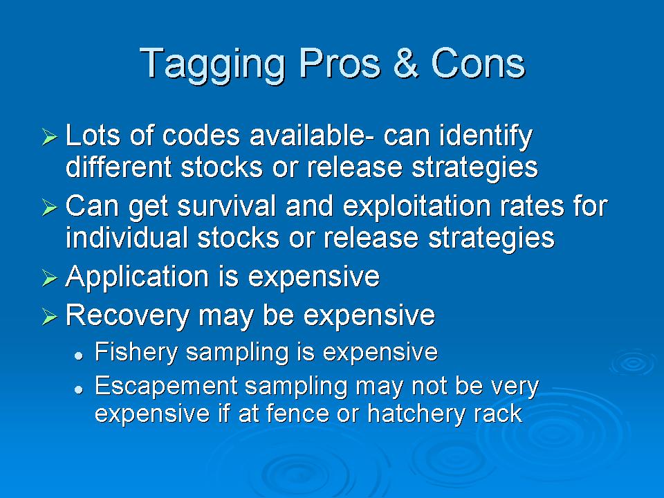 These Fish Are Marked! Presentation slide