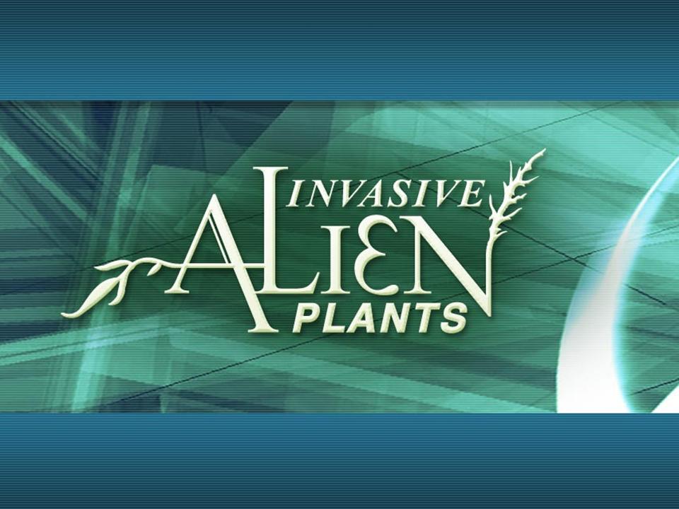 Invasive Plants Presentation slide