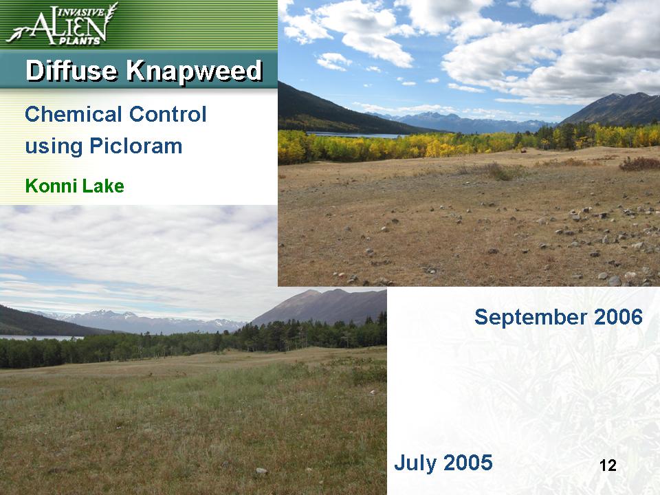 Invasive Plants Presentation slide