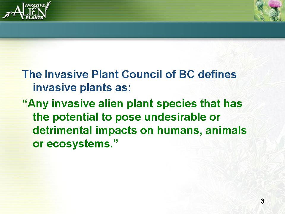 Invasive Plants Presentation slide