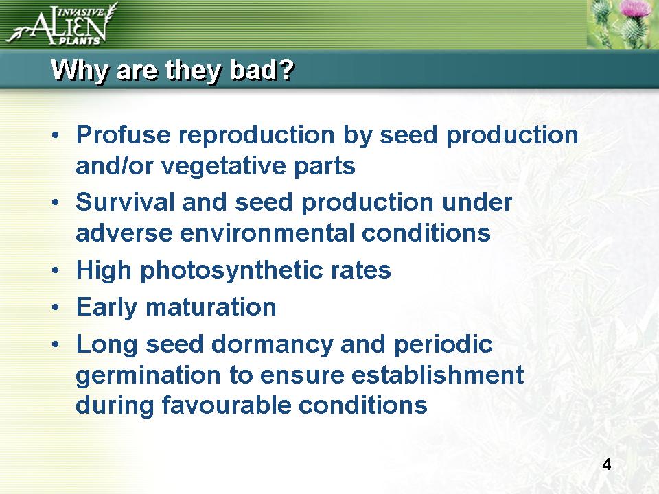 Invasive Plants Presentation slide