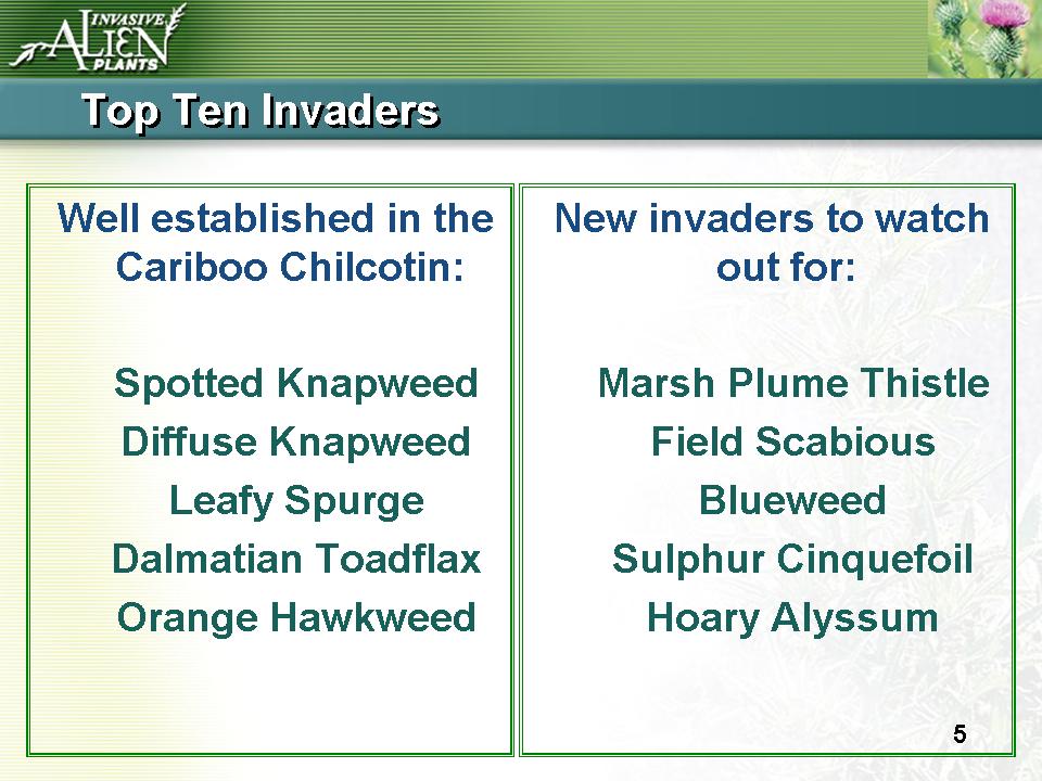 Invasive Plants Presentation slide